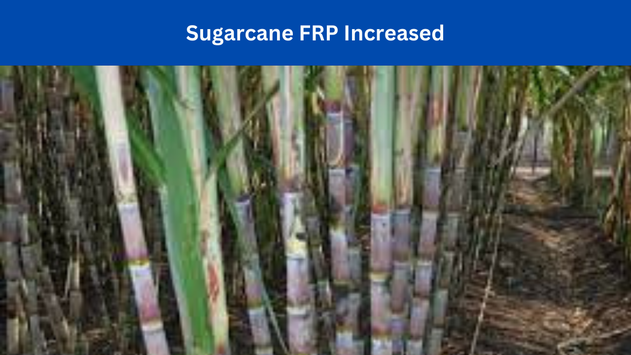 Sugarcane FRP Increased